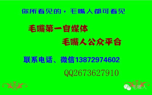 毛嘴飞达电器迎元旦,感恩大回馈 众多品牌家电工厂价直销